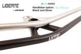 Liberté: Belt-drive All-terrain Single Speed Bike - Winter Cycling Capable - LBT13 - GLORIOUS