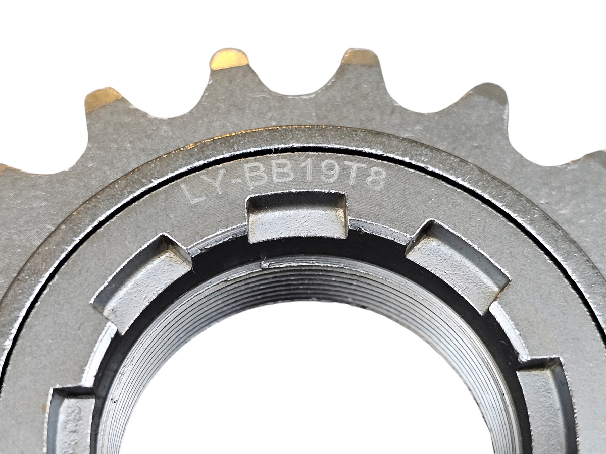 DNP Cyclocross Freewheel | Durable | Single Speed | XFIXXI