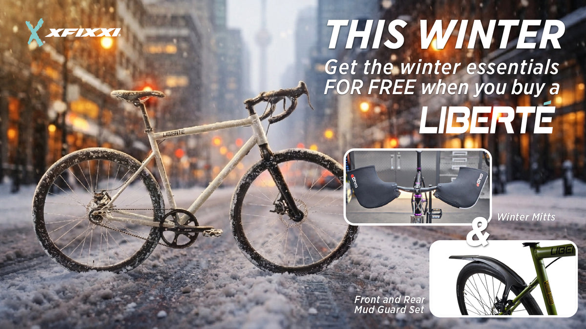 Liberté Single Speed Bike (LBT16 - Safari) | Winter Bike with