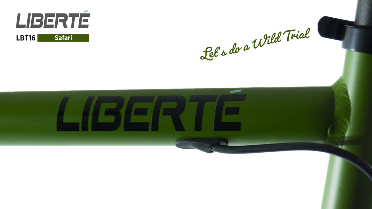 Liberté Single Speed Bike (LBT16 - Safari) | Winter Bike