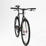 TrackloX Urban Bike with Gates Carbon Belt (Single Speed Edition) Midnight Mirage - TLX20SPM - Fixie, Bikepacking &Tracklocross