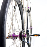 TrackloX Urban Bike - TLX20FG (Fixed Gear Edition) - rear view belt