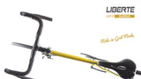 Products Liberté All-terrain-ready Single Speed Bike - LBT13 - GLORIOUS - by xfixxi bikes - bird view