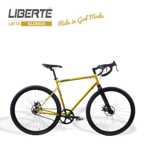 fixed gear bike with disc brakes Liberté Single Speed Bike (LBT13 - GLORIOUS) | Winter Bike with Gates Carbon Belt